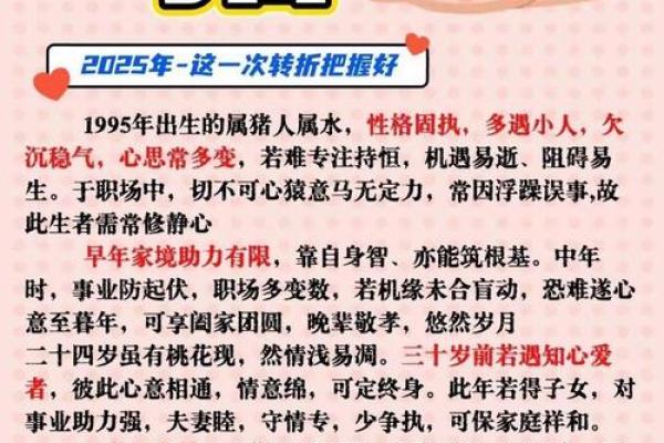 2025年属猪人_2025年属猪人适合什么颜色