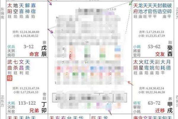 2025年4月29日丑时男命紫微斗数全解盘