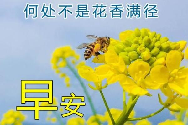 2022年图片大全