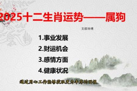 1970年属狗2025年运势详解财运事业感情全解析