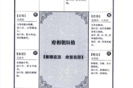2025年4月14日戌时男命紫微斗数全解盘