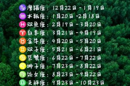 11月23日是什么星座