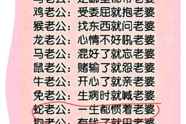 属蛇和属猪的婚姻配对适合做夫妻吗