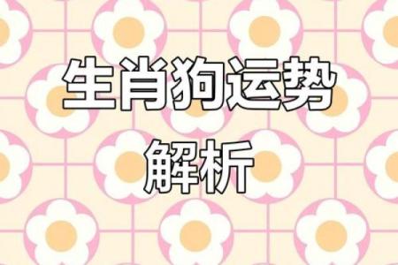 1982属狗白羊座(1982属狗走大运在哪一年)