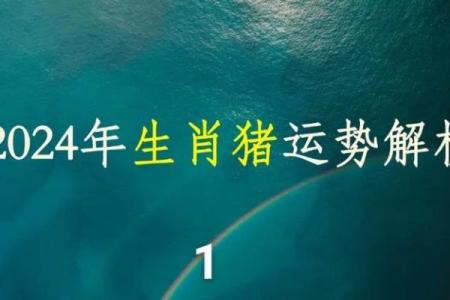 95年的猪2025全年运势 2025年95年属猪人全年运势详解财运事业感情全面解析