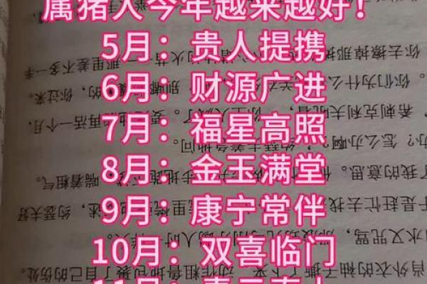 71年属猪人2025年每月运势_2025年71属猪人的全年运势如何